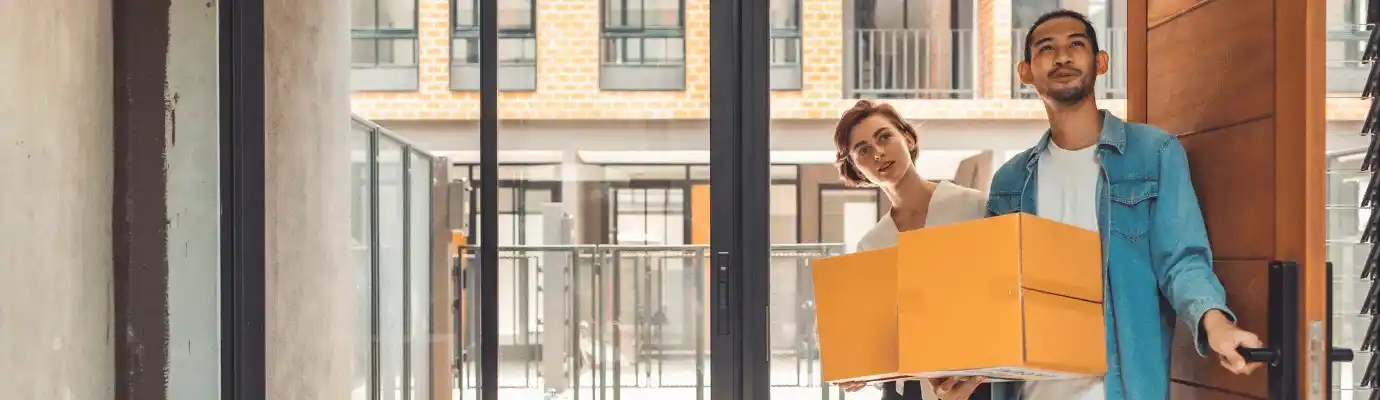 Property surveys background